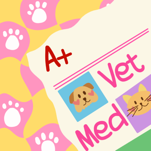 Heart-Stopper Beat the Exam.