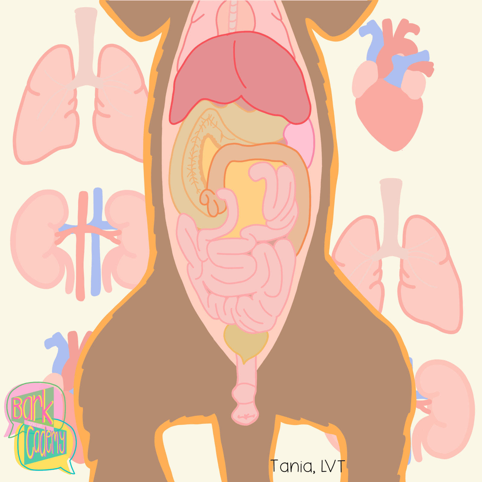 The Anatomy Lab: The Ultimate Body Party