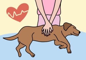 No More Blowing Veins: ER Mode Activated