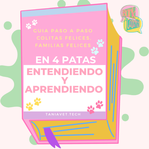 11 En 4 patas entendiendo y aprendiendo LIBRO