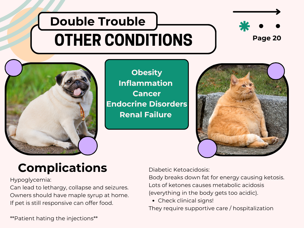 Freestyle Diabetes for busy techs!