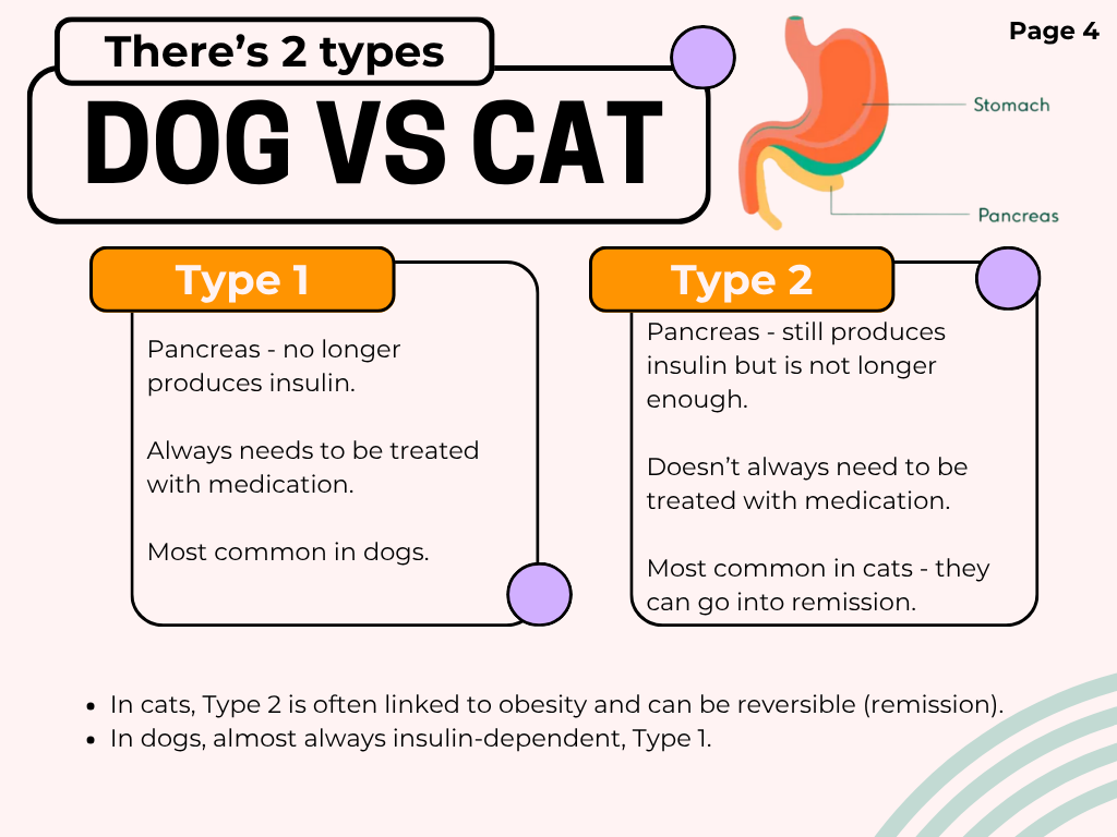 Freestyle Diabetes for busy techs!