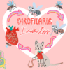 Heart Worm Disease