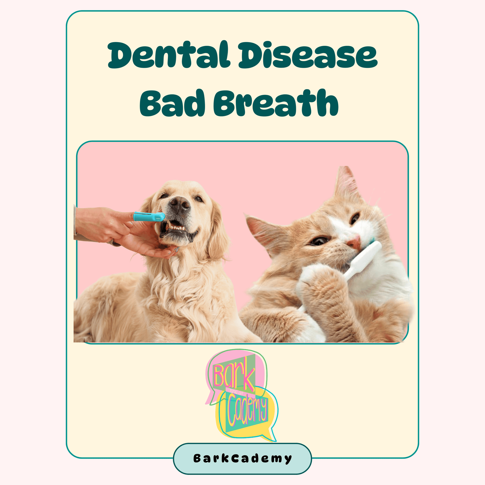 Bad Breath in Pets