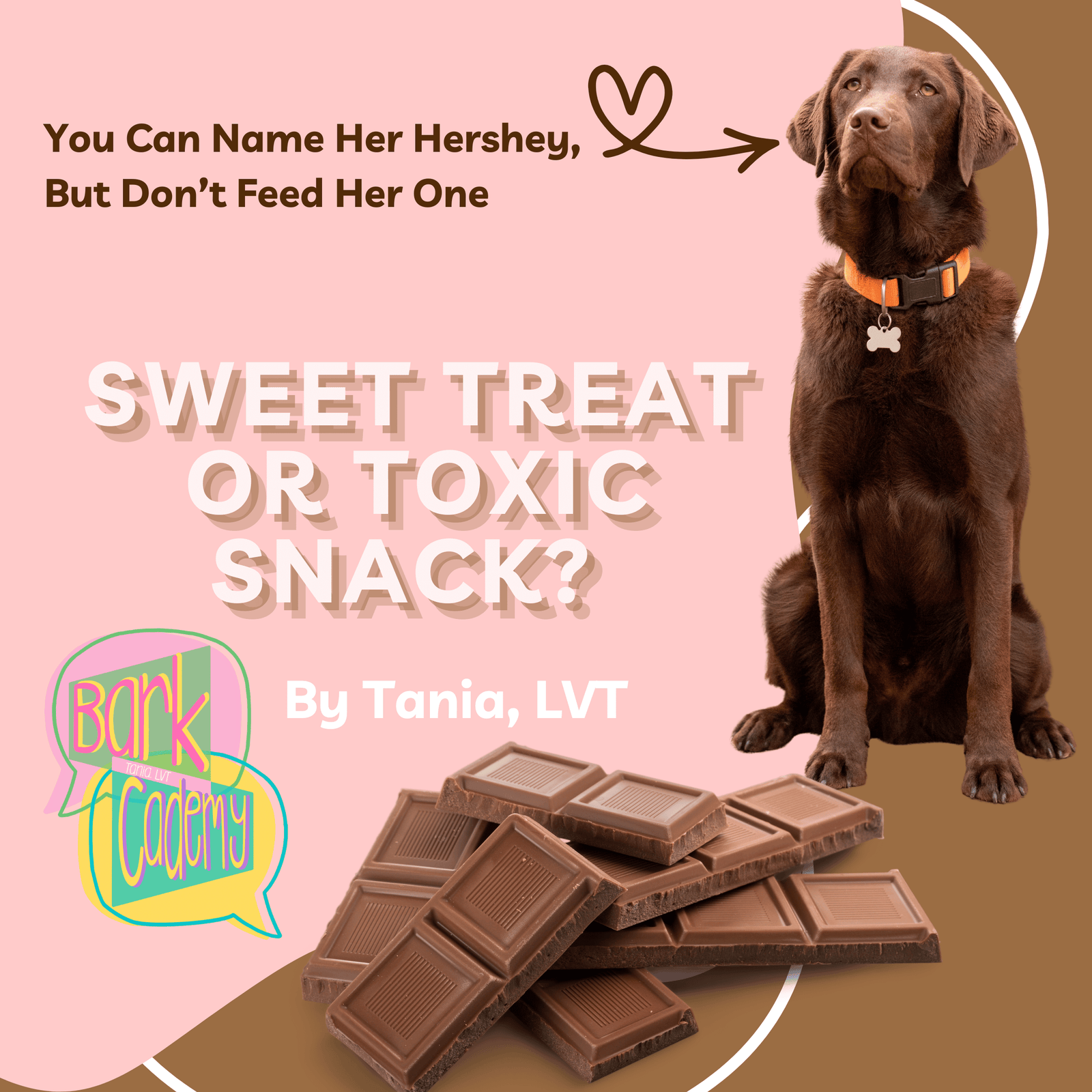 Sweet Treat or Toxic Snack?