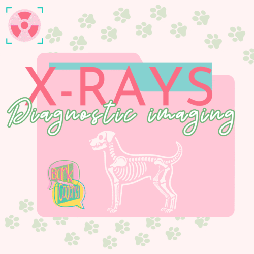 Xrays