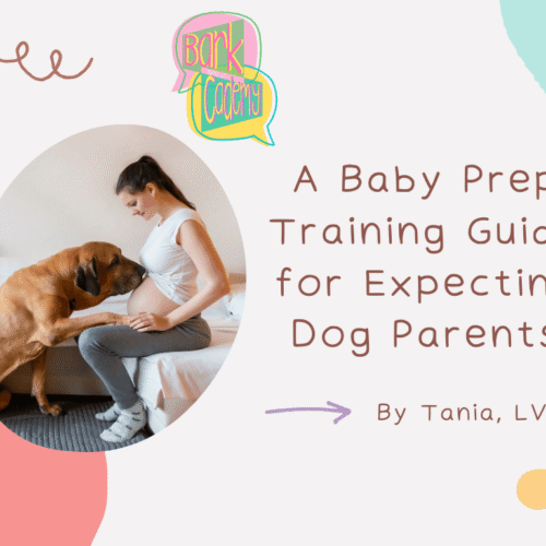 Preparing Your Multi-Pet Home for Baby